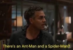 There’s an Antman and a Spider-man? Meme Template