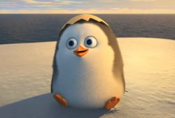 The penguins of Madagascar Meme Template