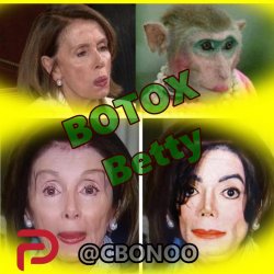 Nancy Pelosi Twins Meme Template
