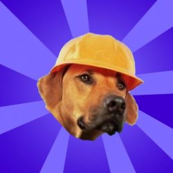 safety hound Meme Template