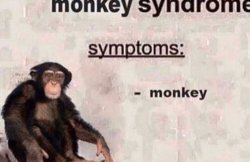 Monkey Syndrome Meme Template