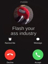 Flash your ass industry Meme Template