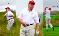 Fat Donald Donnie J Trump  girther, Meme Template