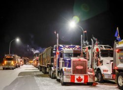 Canadian truckers Meme Template