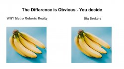 bananas Meme Template