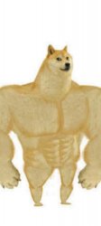 bodybuilder dogo Meme Template