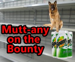 Can You Find Bounty Anymore !! Meme Template