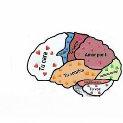 BrainAndLove Meme Template