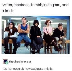 Twitter Facebook Tumbler Instagram LinkedIn Meme Template