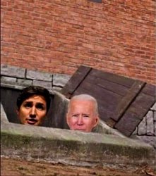 Trudeau and Biden in basement Meme Template