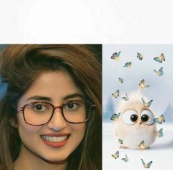 Sajal Ali  say Cheez Meme Template