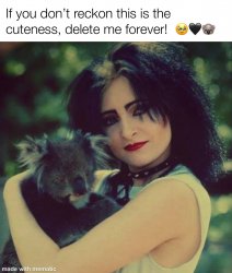 Siouxsie Sioux & Koala ?? Meme Template