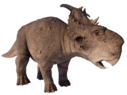 Pachyrhinosaurus (JWE Design) Meme Template