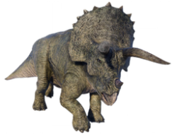 Triceratops Meme Template