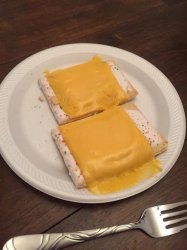 pop tart with cheese Meme Template