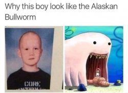 Alaskan bullworm kid Meme Template