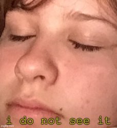 i do not see it Meme Template