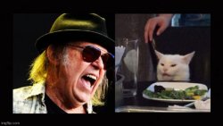 neil young white cat Meme Template