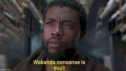 Wakanda Nonsense Is This? Meme Template