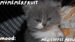 MyMemerFruit Temp 1 Meme Template