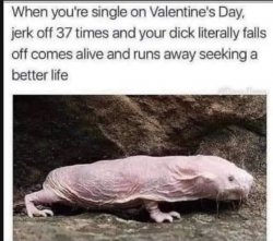 mole rat single valentines day Meme Template