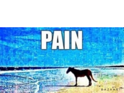 Pain horse Meme Template