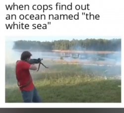 when cops find out about the white sea Meme Template