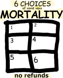 6 choices of mortality Meme Template