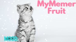 MyMemerFruit Temp 2 Meme Template