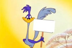 Roadrunner Meme Template