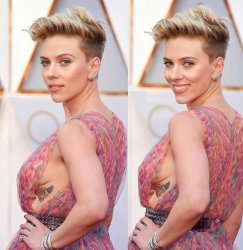 Scarlett Johansson Meme Template