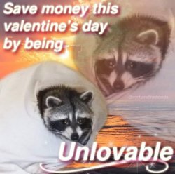 Save money this Valentine’s Day Meme Template