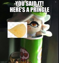 you said it! here's a pringle :) Meme Template