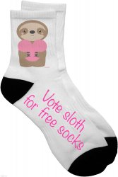 Vote sloth for free socks Meme Template