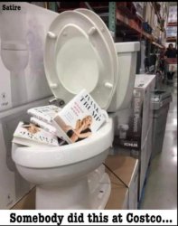 Ivanka books in toilet Meme Template