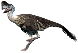 Oviraptor in Prehistoric Kingdom Meme Template