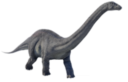 Apatosaurus Meme Template