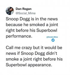 Snoop Dogg smokes a joint Meme Template