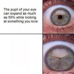 your pupil expands looking at someone you love Meme Template