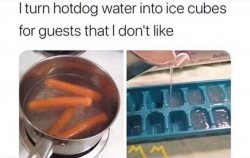 Hotdog water ice cubes Meme Template