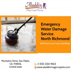 Emergency Water Damage Service North Richmond Meme Template