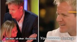 Gordon Ramsay Kids vs Adults Censored Meme Template