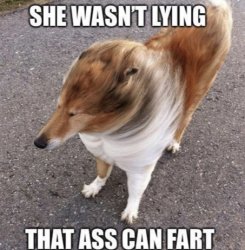 she wasn't lying that ass can fart Meme Template