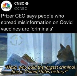 Pfizer criminals Meme Template