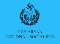 Flag of the Gay Aryan National-Socialists Meme Template