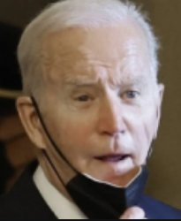 Biden Meme Template