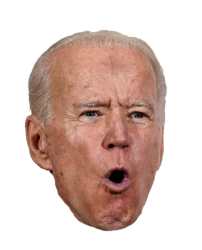 Biden head Meme Template