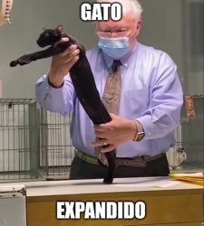 Gato Expandido Meme Template