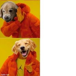 drake dog Meme Template