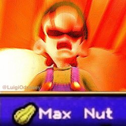 Max Nut Meme Template